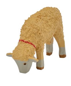 Schaf, stehend, Kopf nach unten