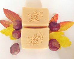 Kastanien Haarseife – bei schnell fettendem Haar und empfindlicher Kopfhaut 90g